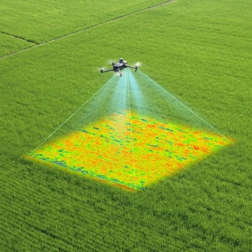 Plant Health & Yield Forecasting